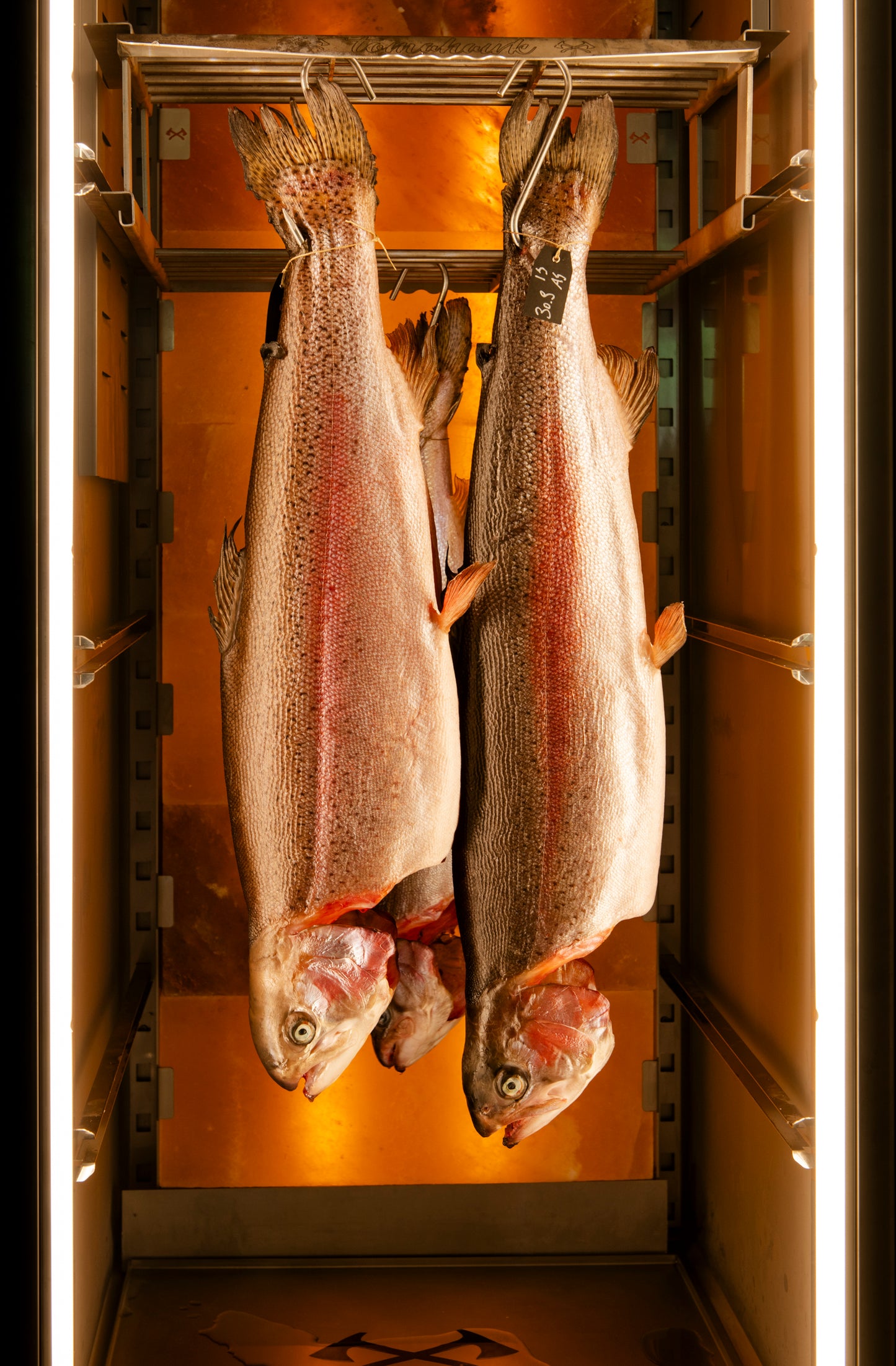 Dry Aged Lachsforelle Filet Stage I