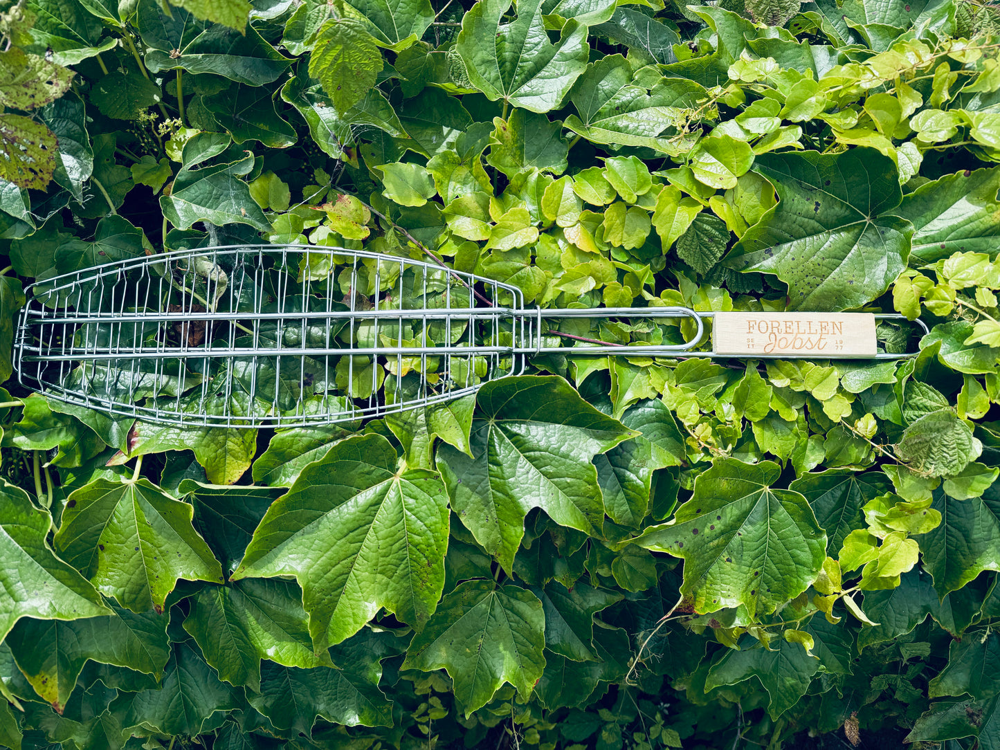 Grilling Tongs for Fish
