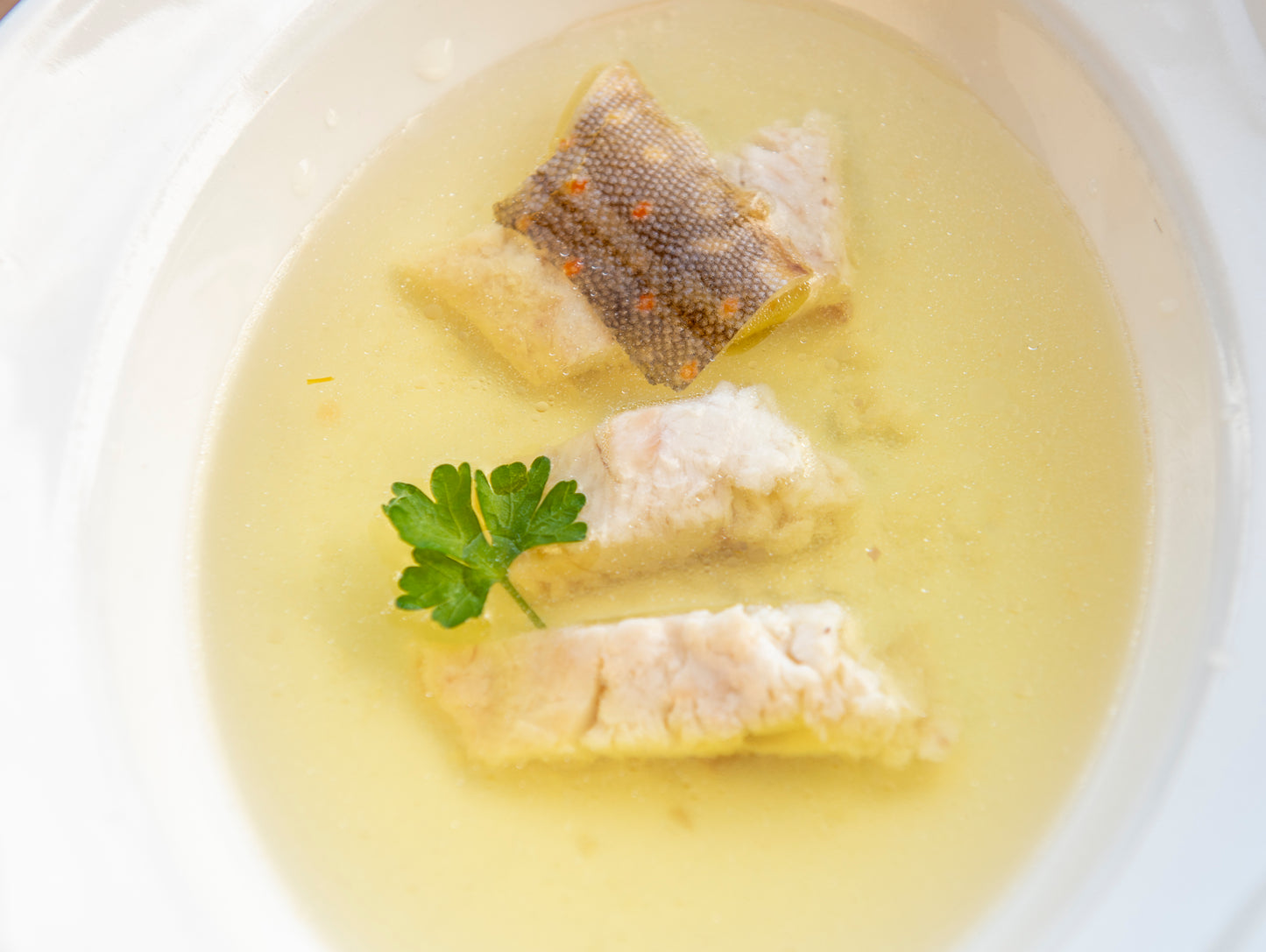 Fish Bouillon